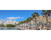Auglýsing - Hotel - Alicante