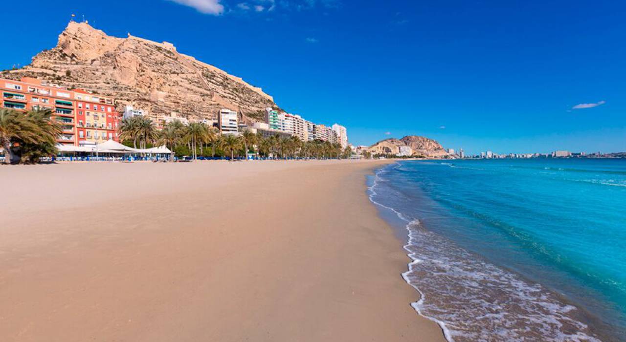 Comercial - Hotel - Alicante