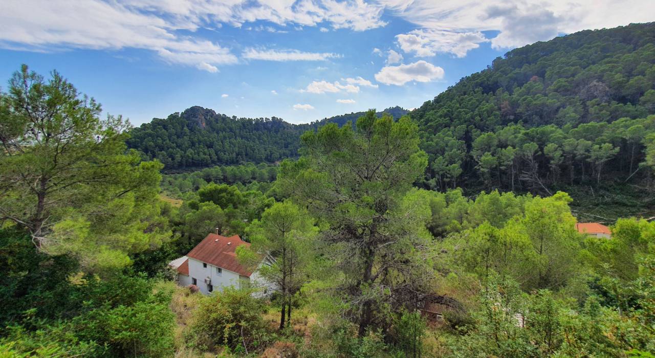 Langzeitmiete - Villa - Gandía - Marxuquera