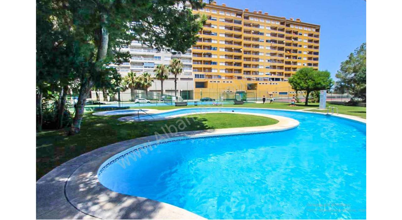 Location longue durée - Appartement - Campoamor