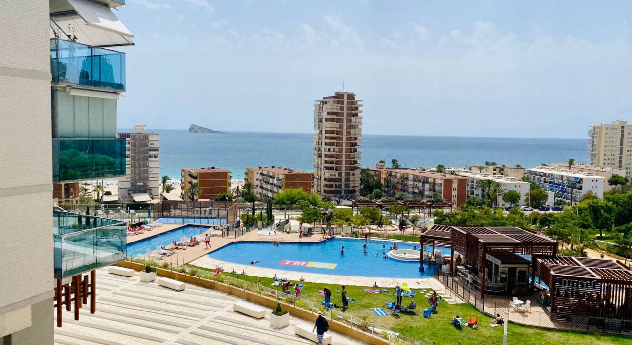 Long term Rental - Apartment/Flat - Benidorm - Poniente