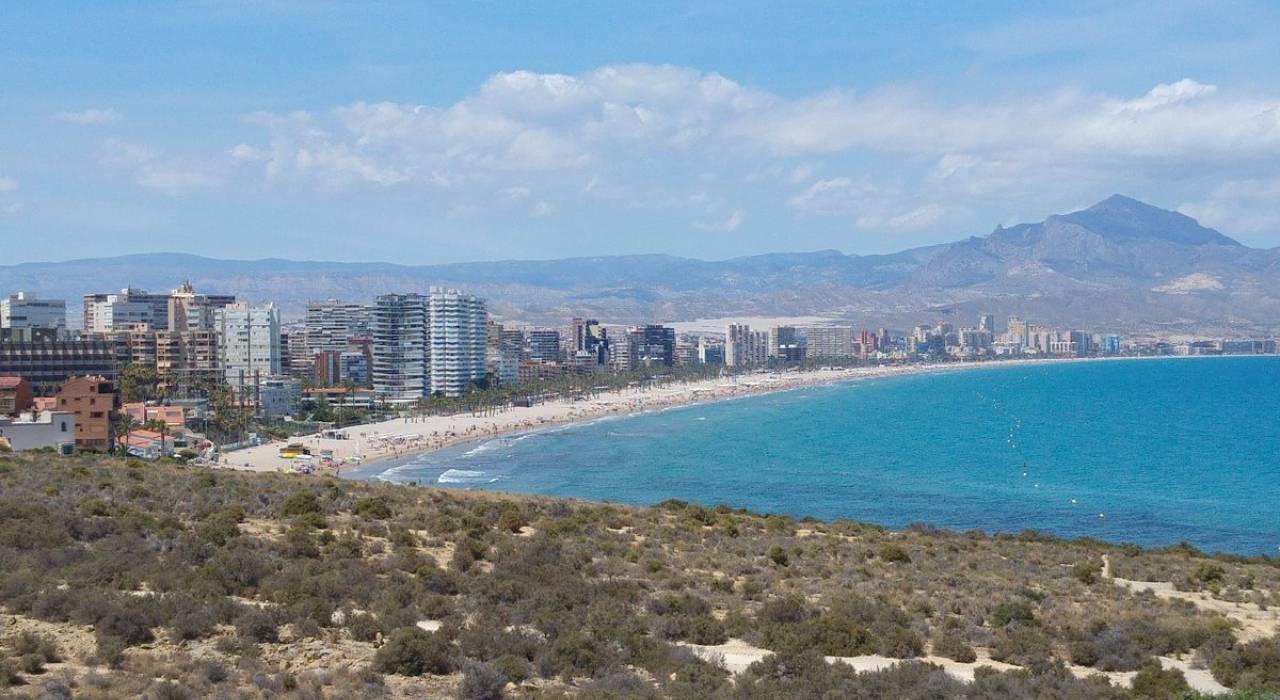 New Build - Villa - Alicante - Playa San Juan