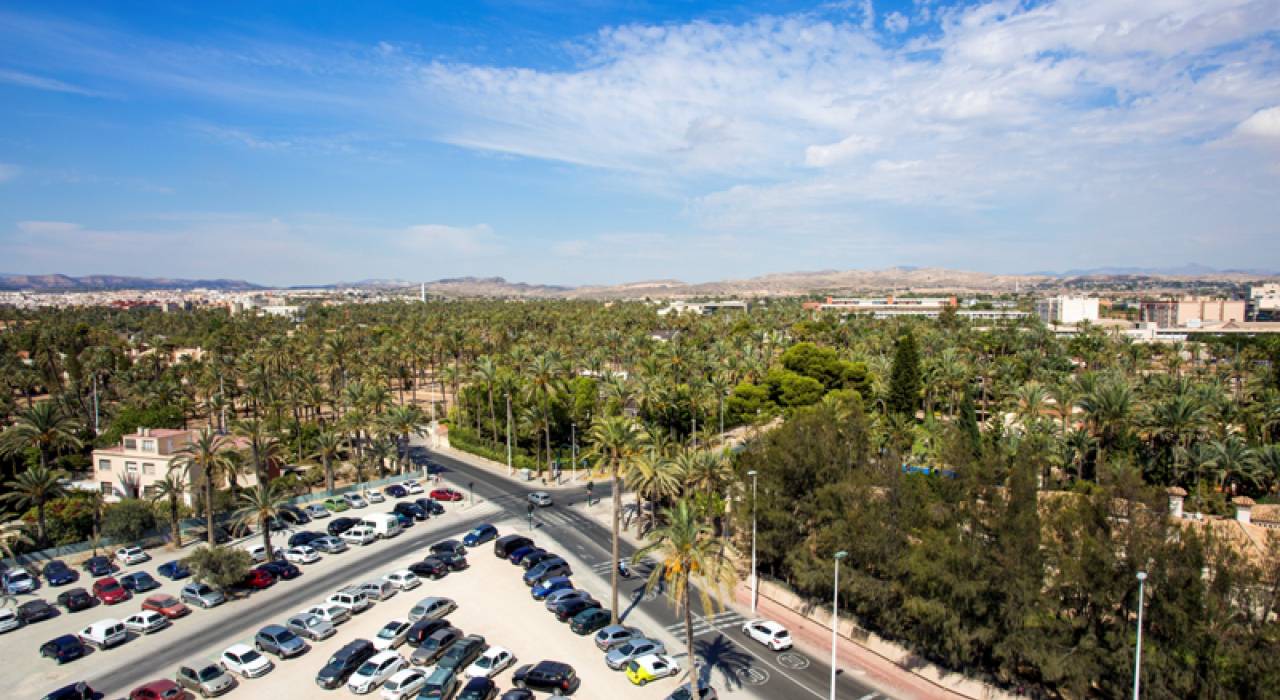 New Build - Wohnung - Elche - Estadio de fútbol