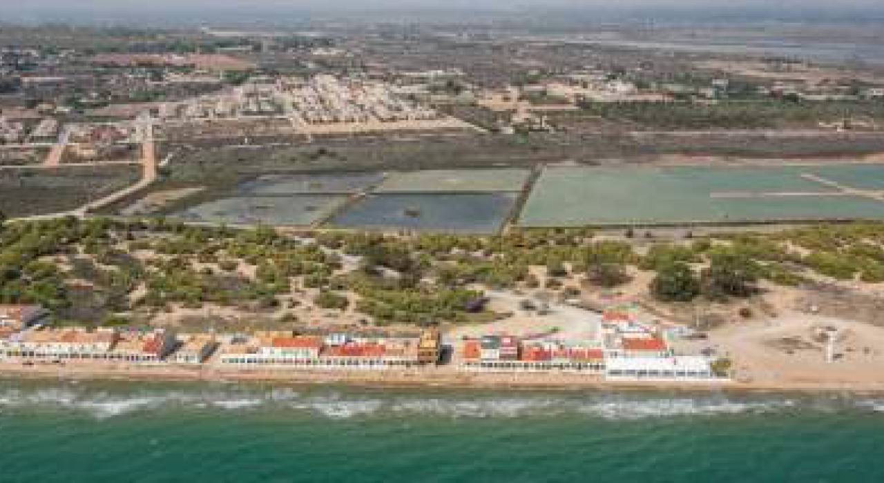 Новостройка - Вилла - La Marina - La Marina/ El Pinet