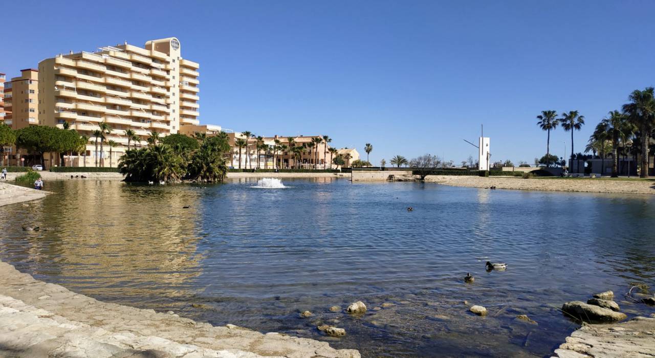 Nybygg - Leilighet - Tavernes de la Valldigna - Playa de Tavernes de la Valldigna