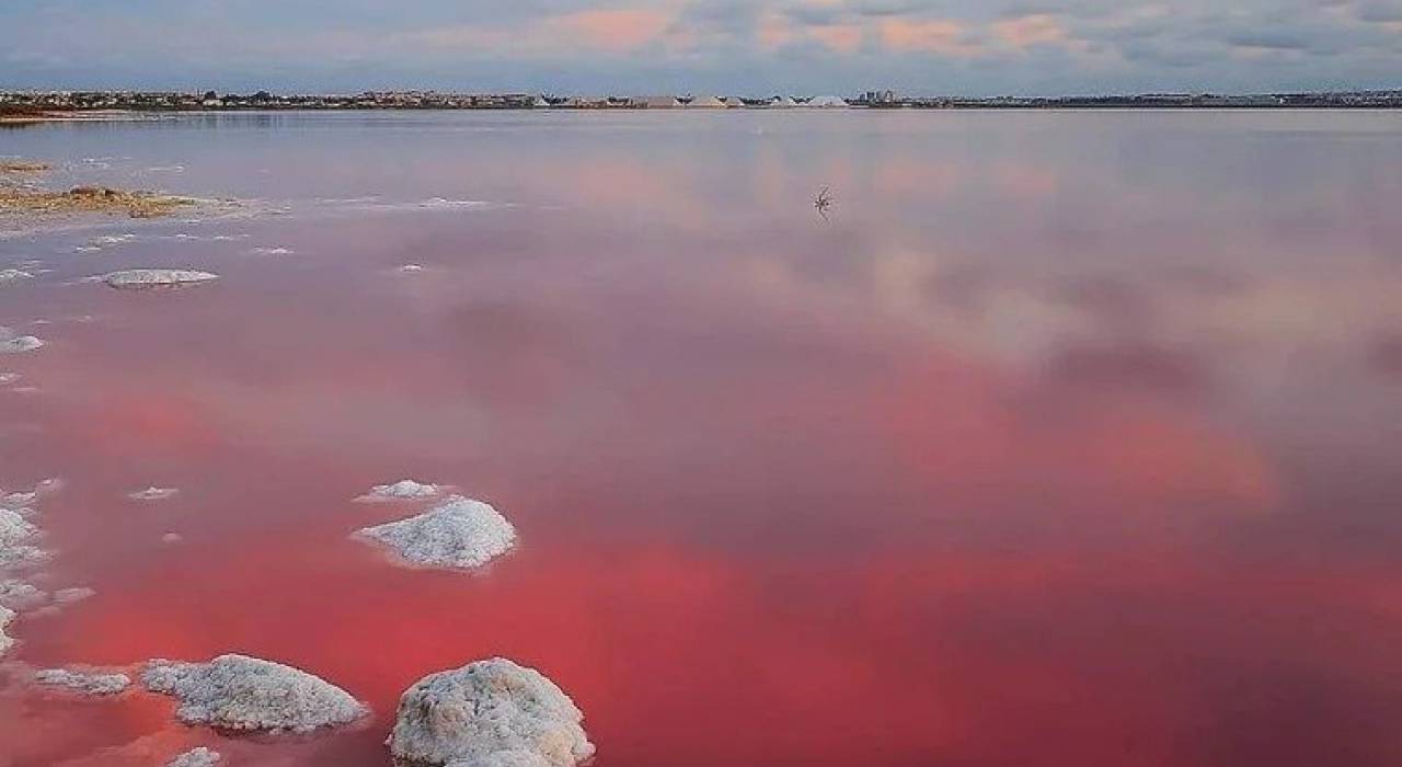 Nýbygging - Raðhús - Torrevieja - Lago Jardin