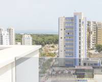 Pierwotny - Apartament - Guardamar del Segura