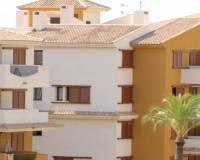 Pierwotny - Apartament - Torrevieja - La Mata