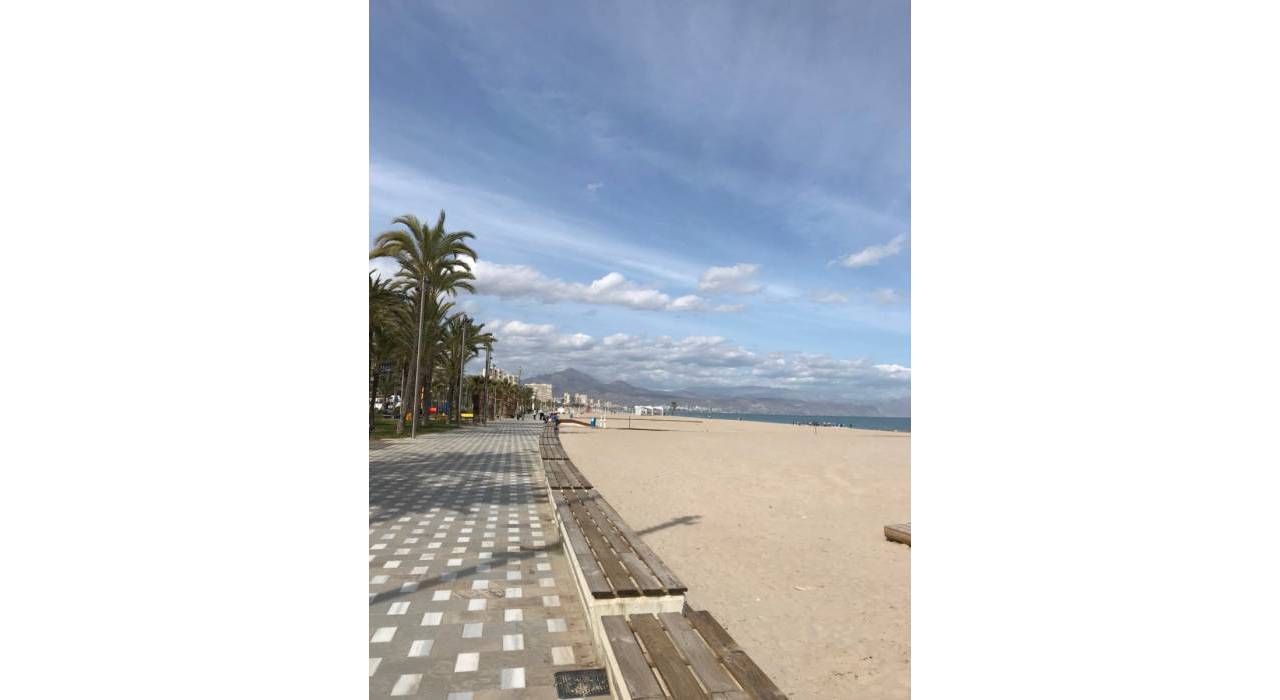 Sala - Bungalow - Alicante - Playa San Juan