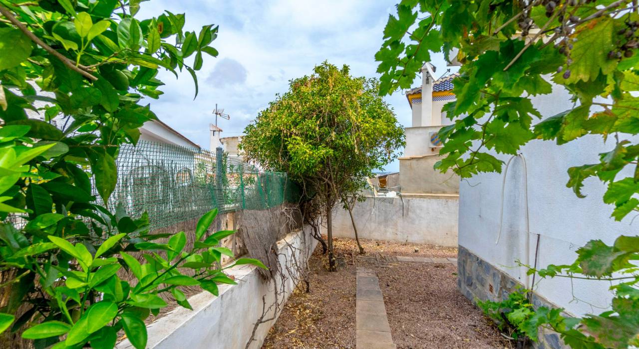 Sala - Chalet - Torrevieja - Los Balcones