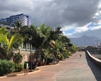 Sala - íbúð - Tenerife - Playa Paraiso