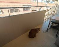 Sale - Apartment/Flat - Alicante