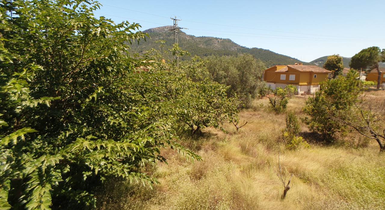 Sale - Villa - Gandía - Marxuquera