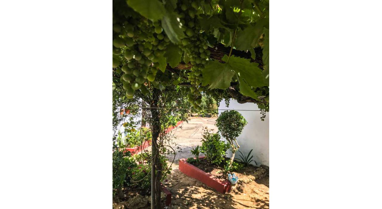 Sale - Villa - Vejer de la Frontera - La Muela