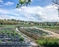 Salg - Chalet - Vejer de la Frontera - El Soto