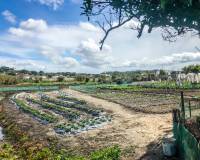 Salg - Chalet - Vejer de la Frontera - El Soto