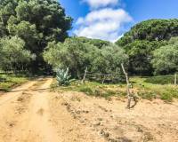 Salg - Chalet - Vejer de la Frontera - El Soto