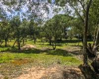 Salg - Chalet - Vejer de la Frontera - El Soto