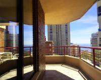 Salg - Hotell - Benidorm - Levante