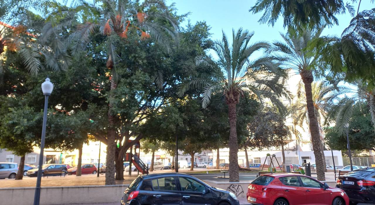 Salg - Leilighet - Alicante
