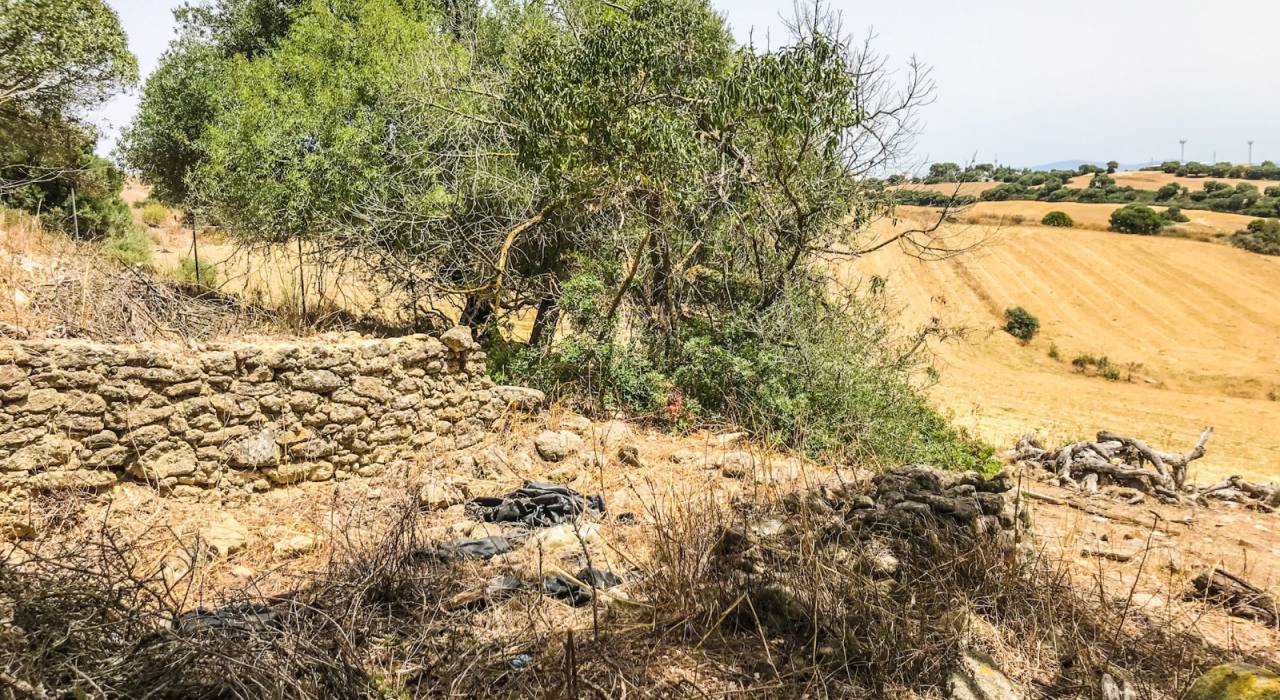 Salg - Villa - Vejer de la Frontera