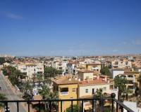 Short term rental - Apartment/Flat - Torrevieja