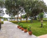 Venta - Villa - Barbate - Zahora 