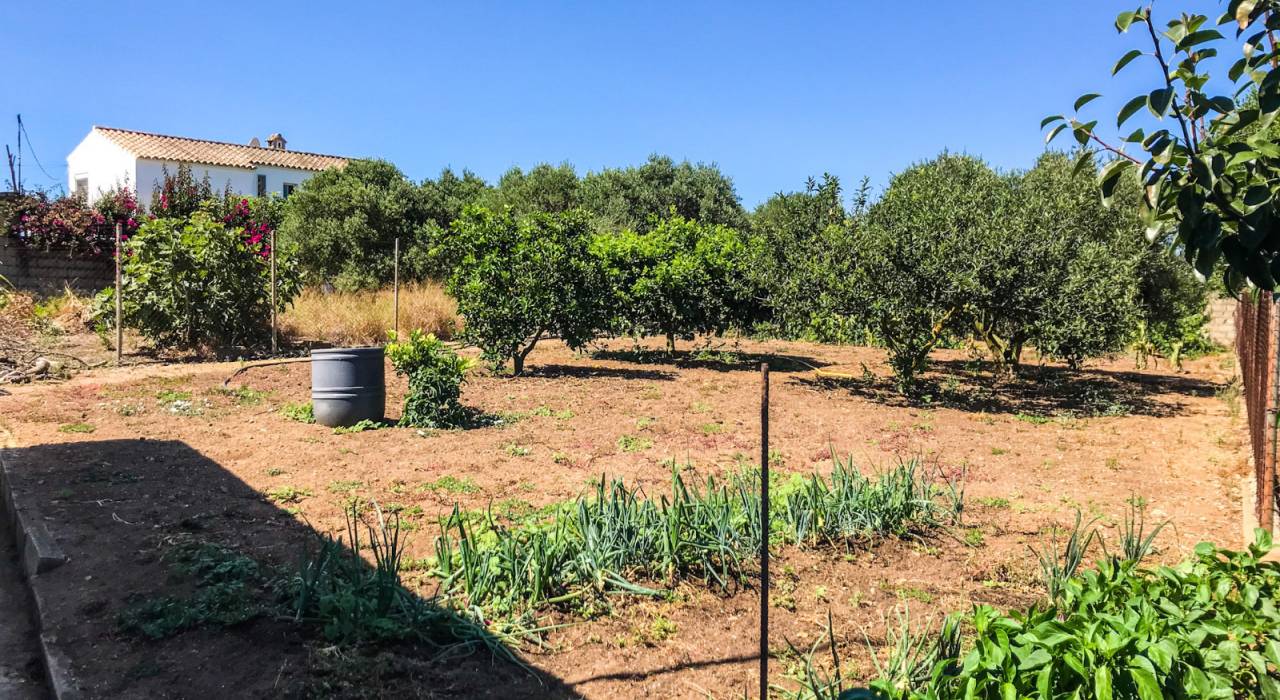 Venta - Villa - Vejer de la Frontera - La Muela