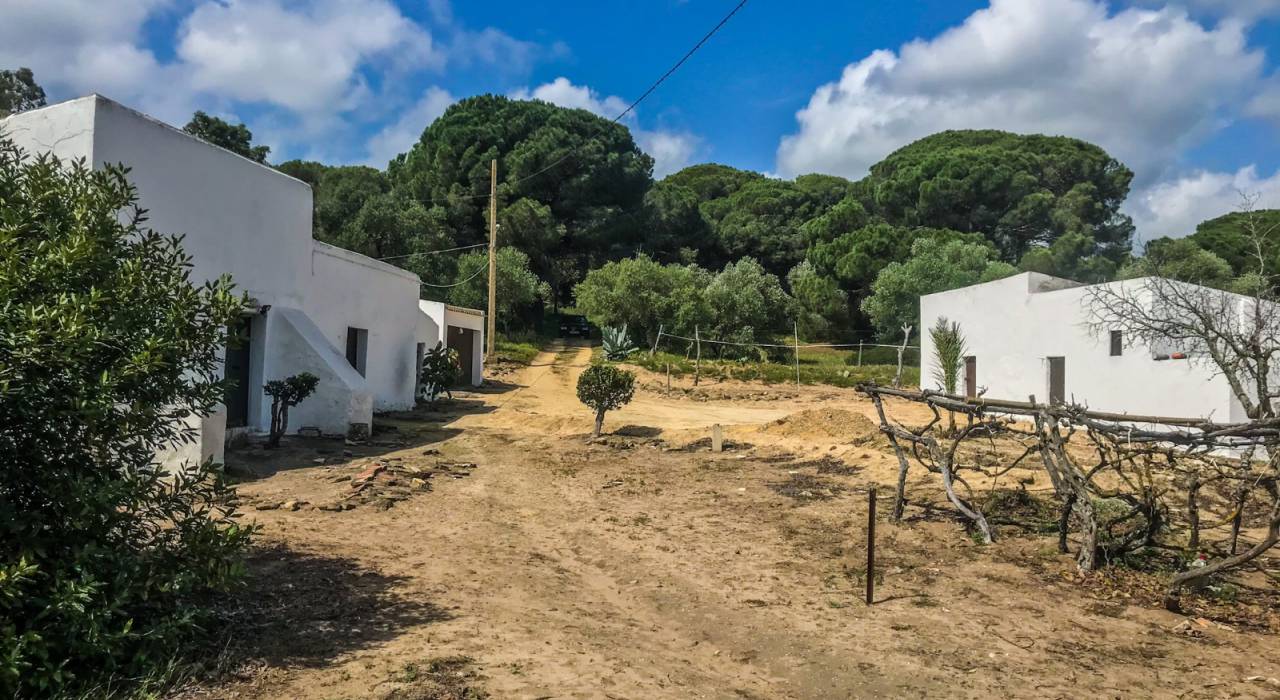 Vente - Chalet - Vejer de la Frontera - El Soto