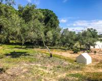 Vente - Chalet - Vejer de la Frontera - El Soto