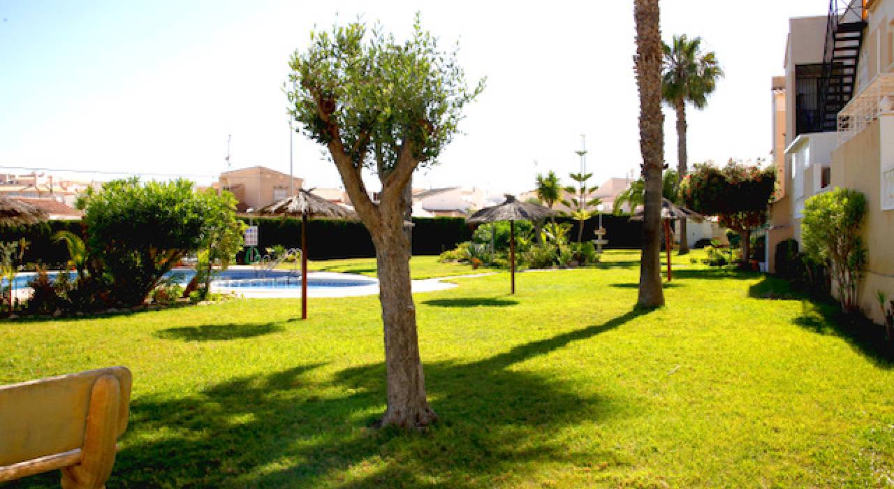 Vente - Maison de ville - Orihuela Costa