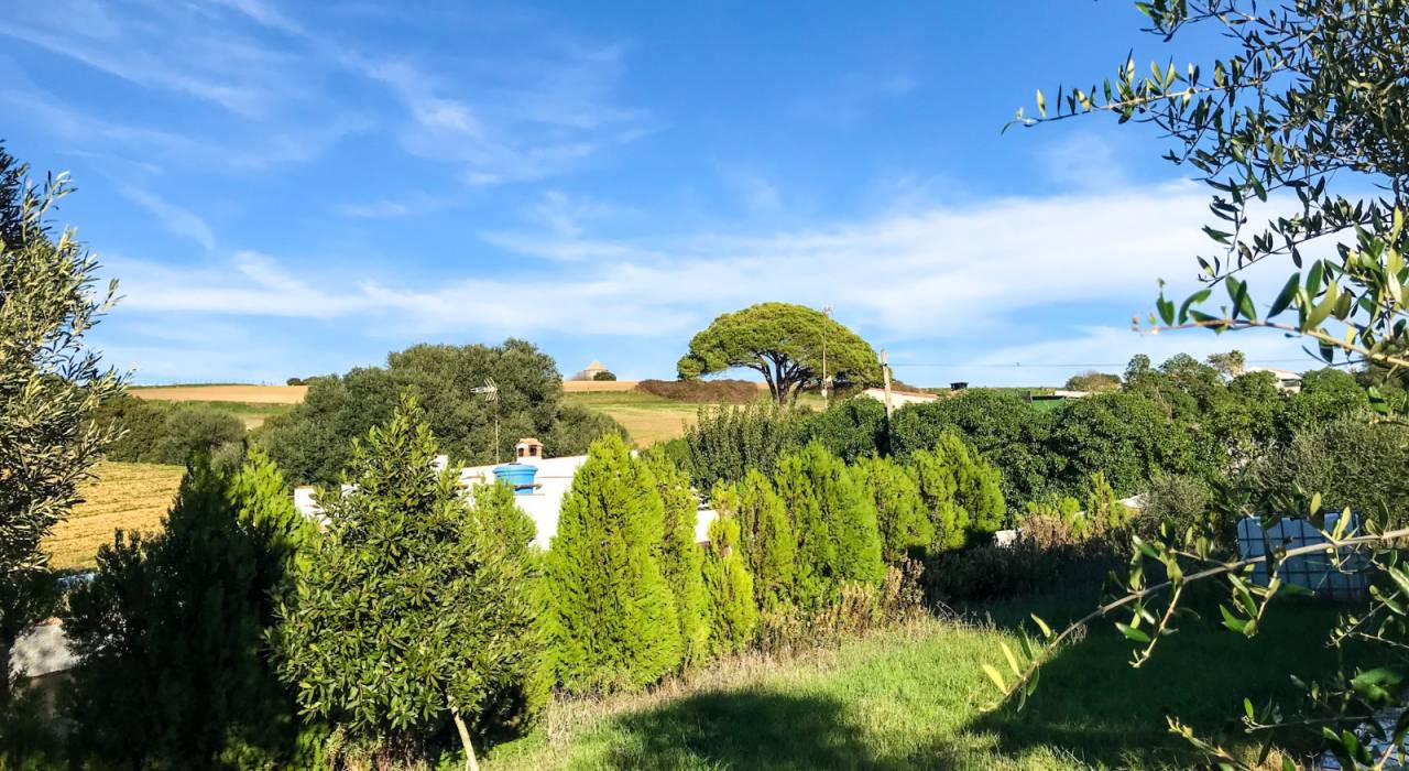 Verkauf - Villa - Vejer de la Frontera - San Ambrosio