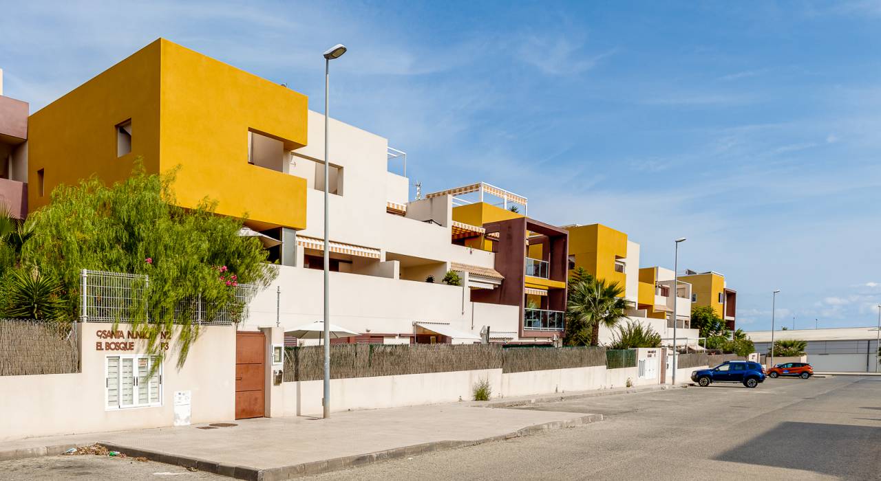 Verkauf - Wohnung - Orihuela Costa