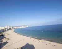 Wtórny -  - Benidorm -  Benidorm