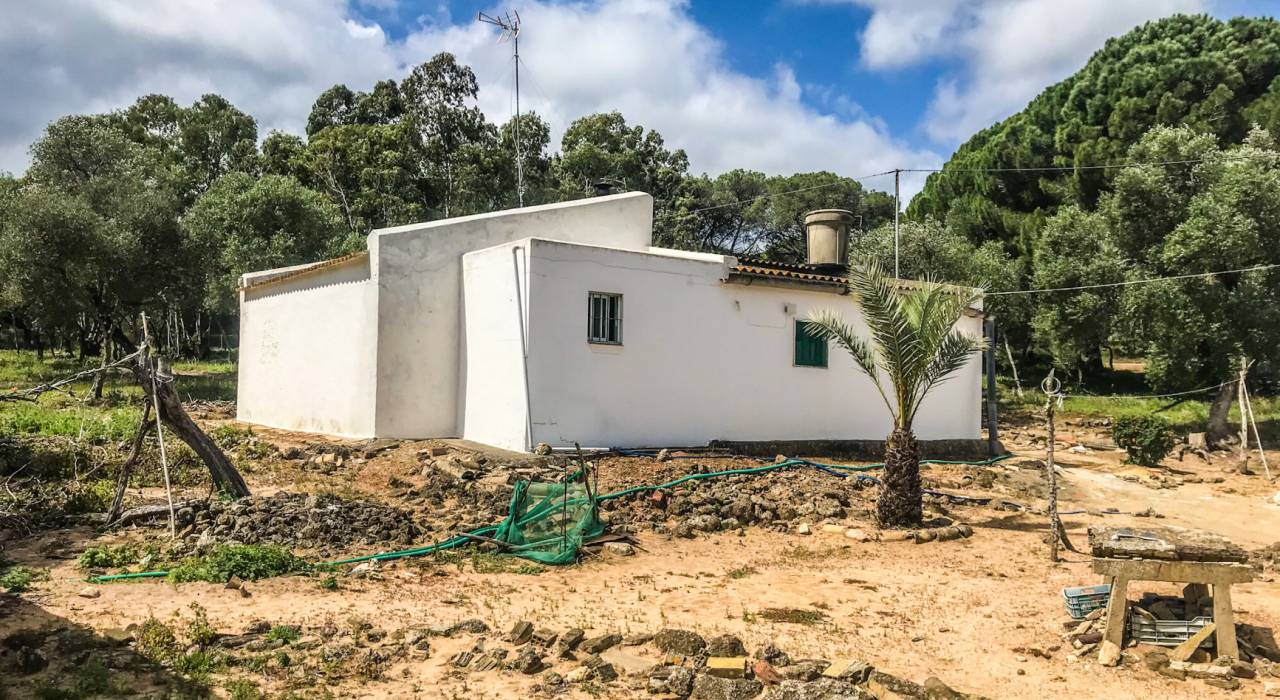 Wtórny - Chalet - Vejer de la Frontera - El Soto