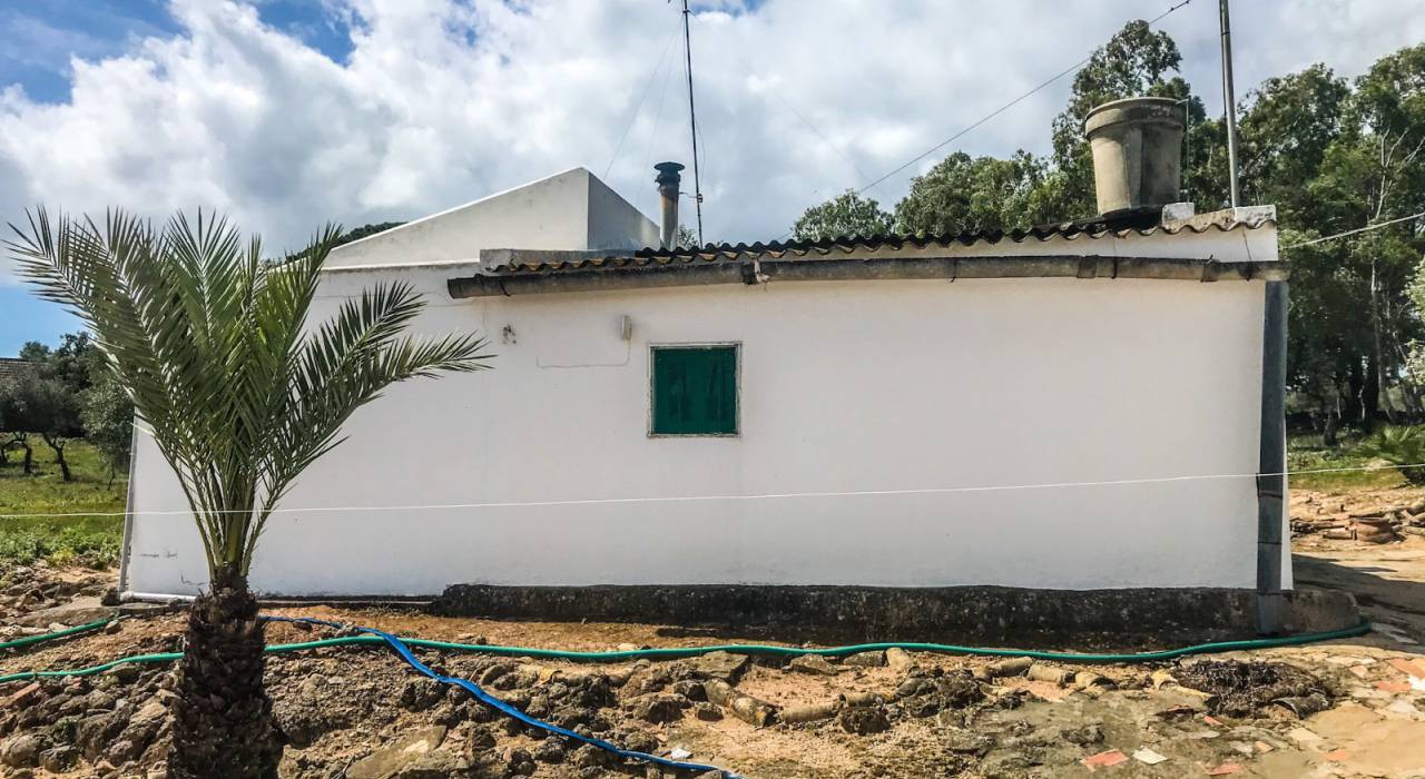 Wtórny - Chalet - Vejer de la Frontera - El Soto