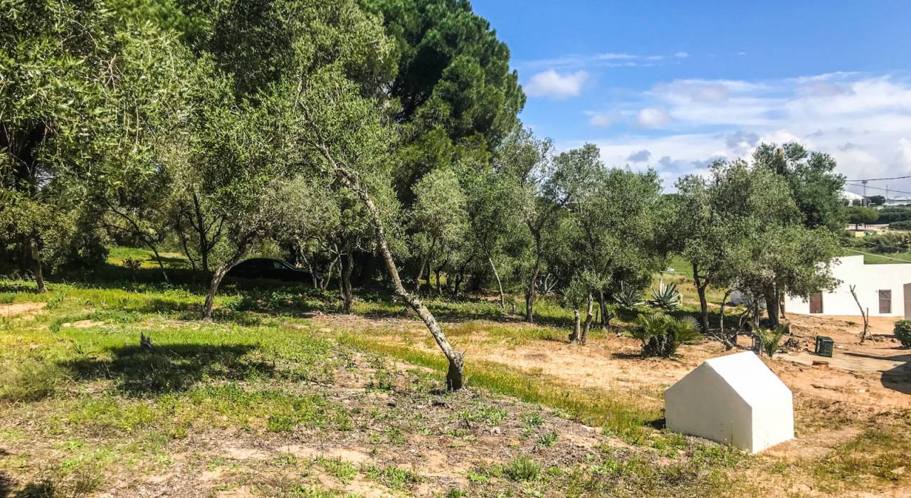 Wtórny - Chalet - Vejer de la Frontera - El Soto