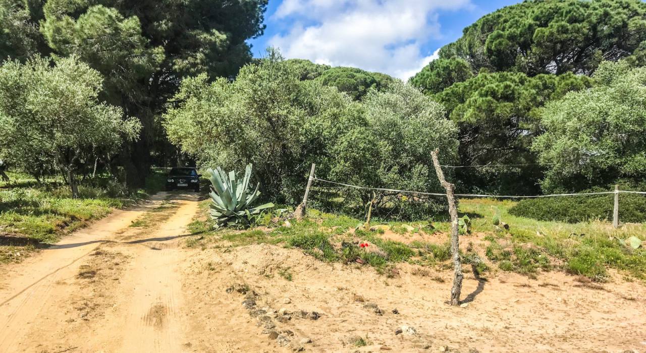 Wtórny - Chalet - Vejer de la Frontera - El Soto