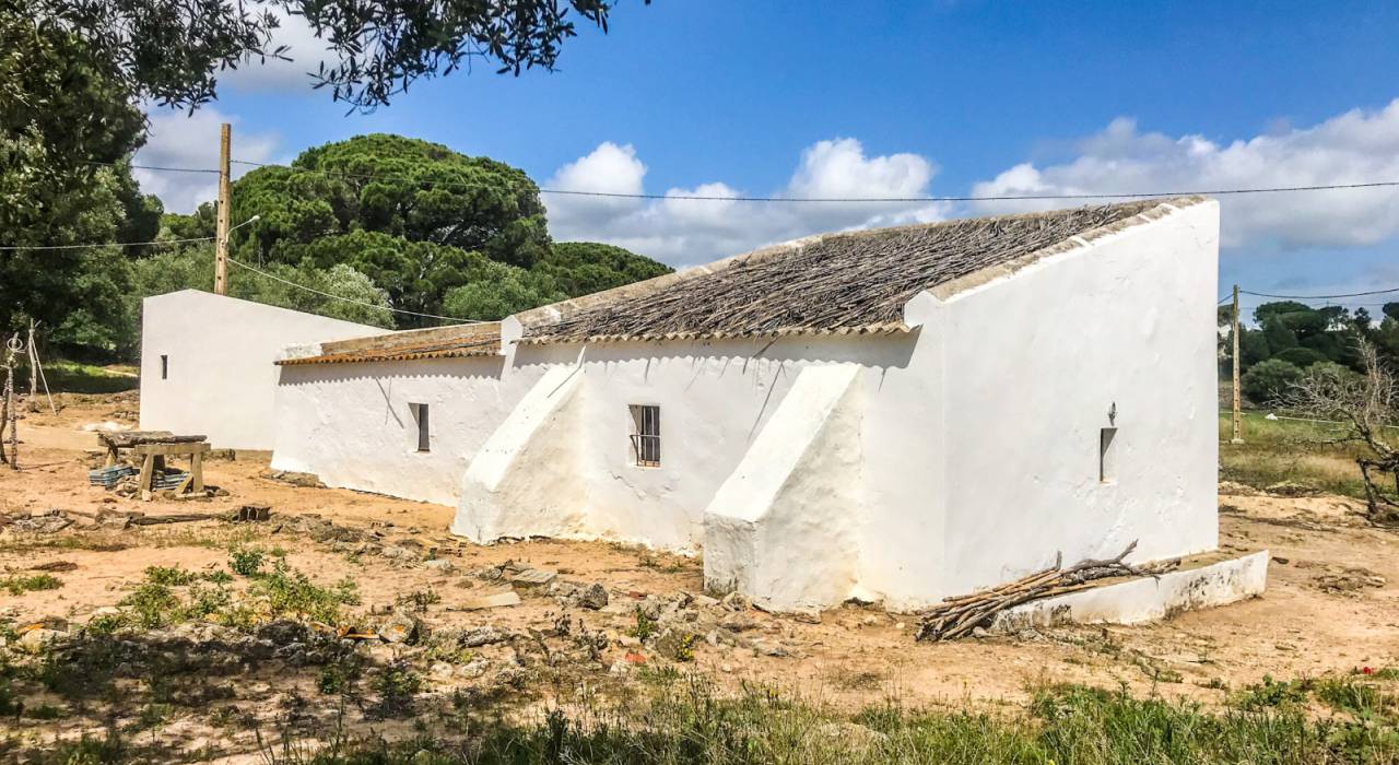 Wtórny - Chalet - Vejer de la Frontera - El Soto