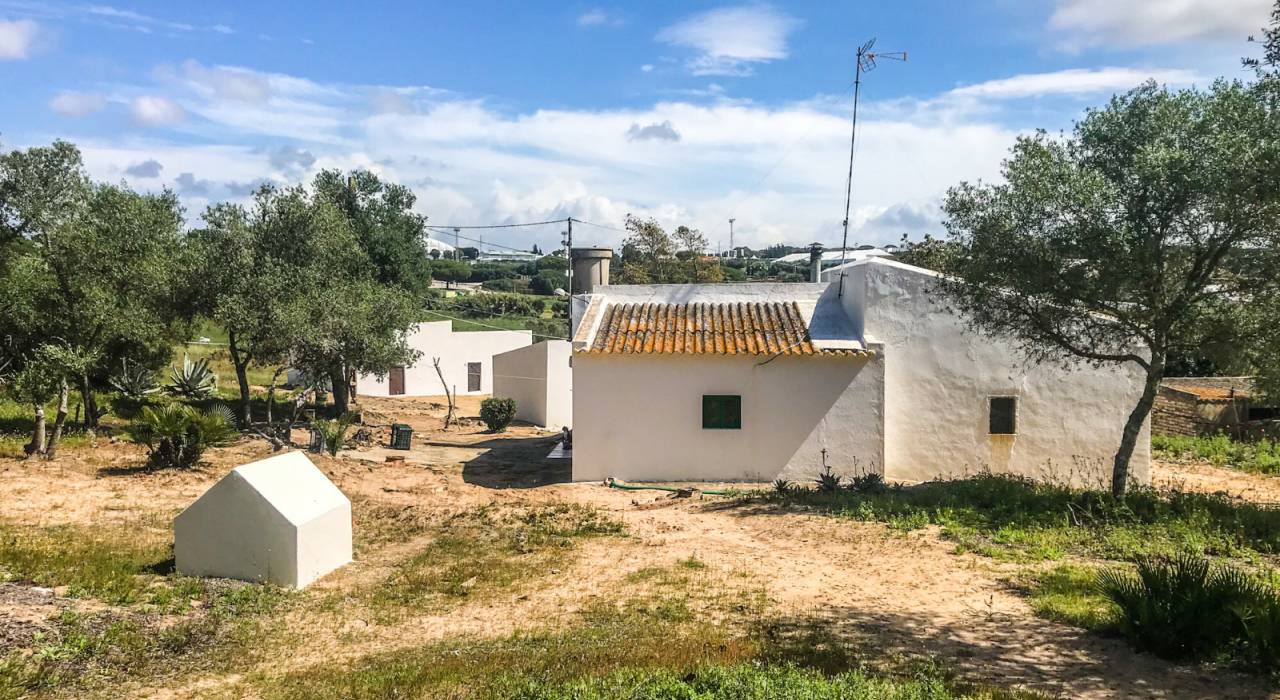 Wtórny - Chalet - Vejer de la Frontera - El Soto