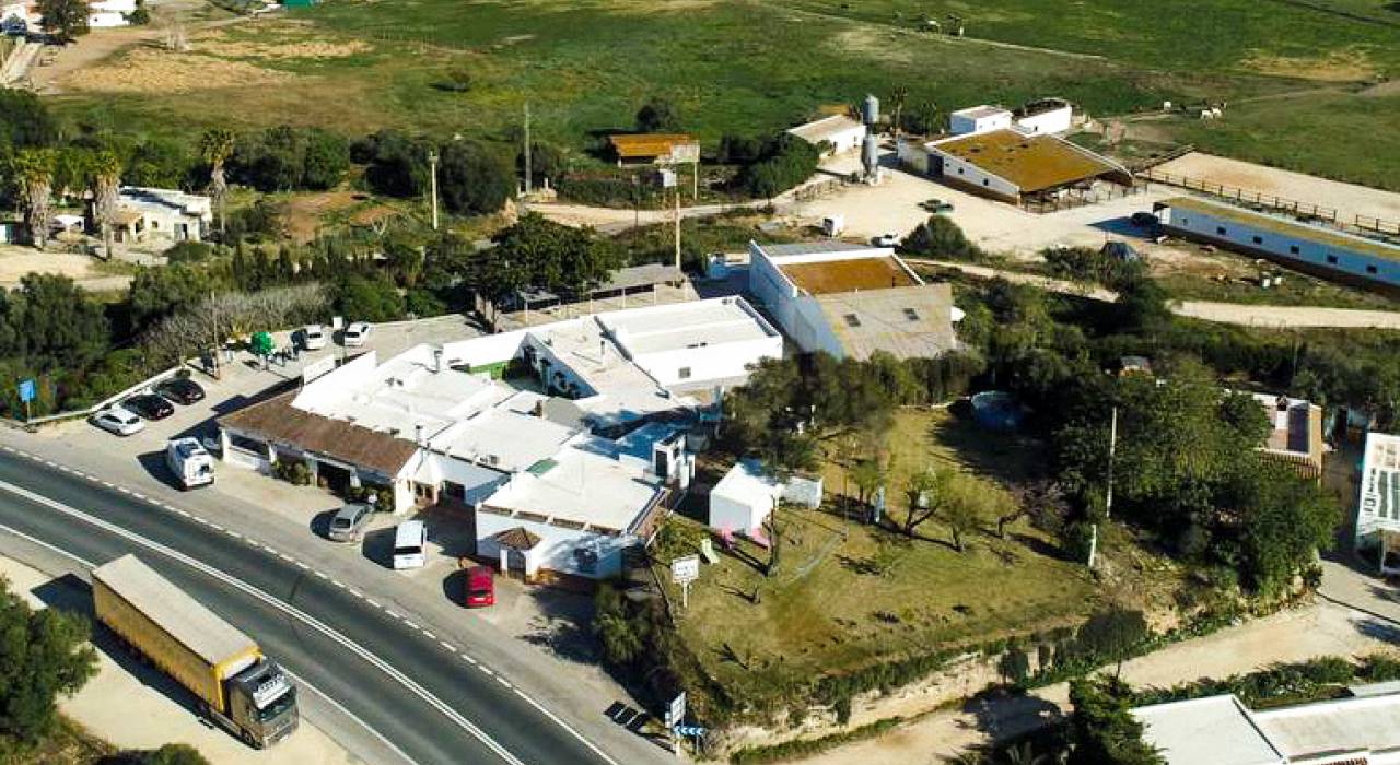 Wtórny - Własność handlowa - Vejer de la Frontera - El Palmar