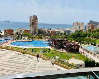 Wynajem na długi czas - Apartament - Benidorm - Poniente