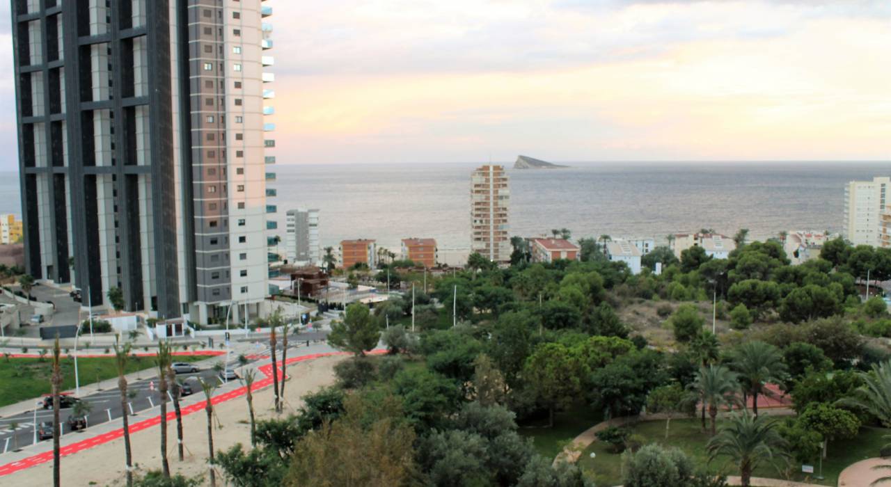 Wynajem na długi czas - Apartament - Benidorm - Poniente