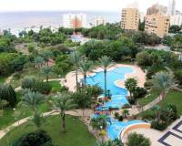 Wynajem na długi czas - Apartament - Benidorm - Poniente