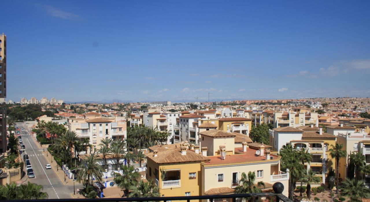 Wynajem na długi czas - Apartament - Torrevieja