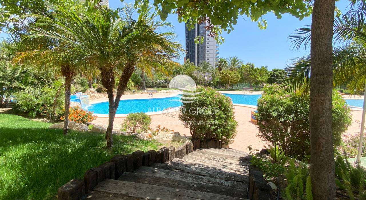 Wynajem na krótki czas - Apartament - Benidorm - Poniente