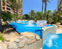 Wynajem na krótki czas - Apartament - Benidorm - Poniente