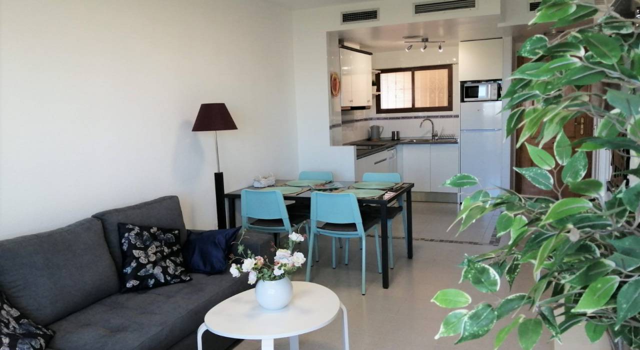 Alquiler a corto plazo - Apartamento / piso - Torrevieja - Centro