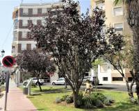 Долгосрочная аренда - Апартамент - Guardamar del Segura