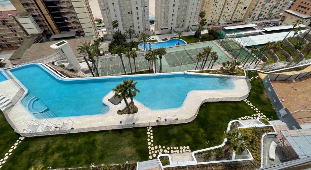 Langzeitmiete - Wohnung - Benidorm - Poniente